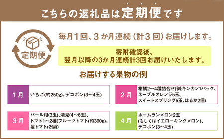 熊本便り！旬のフルーツ詰め合わせ定期便