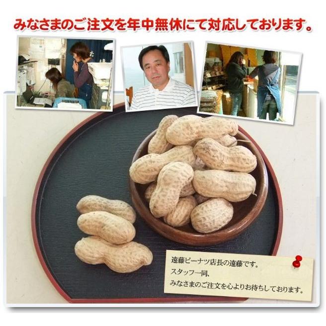 2023年度産 新豆 煎ざや（千葉半立）300g 2袋セット 千葉県産八街落花生