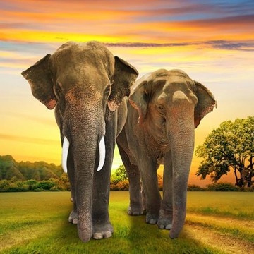 高雄出發_買一送一.搶購泰國曼芭｜古城76府.莊園泰服體驗.長尾船遊湄南河.泡泡瑪特旗艦店.東方公主號5＋1日(未稅)_25THBKKFDZ