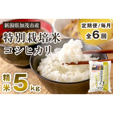 ふるさと納税 新潟県加茂市産 特別栽培米コシヒカリ 精米5kg 白米 従来品種コシヒカリ 加茂有機米生産組合 定期便 定.. 新潟県加茂市