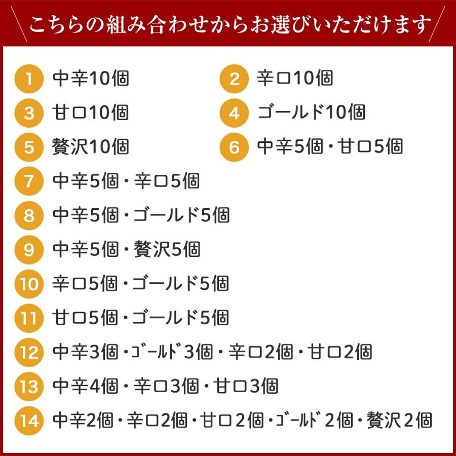 ギフト 2023 レトルト カレー 赤城牛 ビーフカレー 選べる 10個 セット 甘口 中辛 辛口 詰め合わせ 送料無料