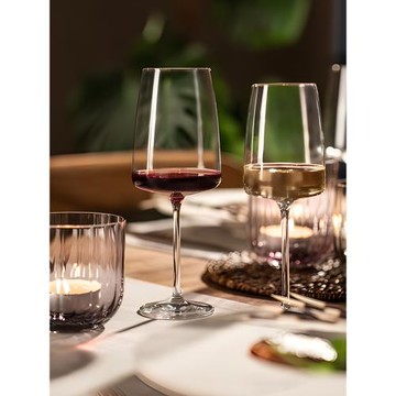 德國進口SCHOTT無鉛水晶玻璃紅酒杯水杯香檳杯高腳葡萄酒杯手工