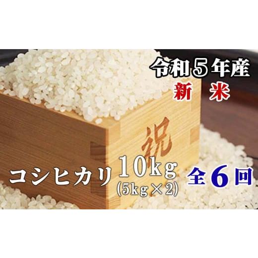 ふるさと納税 岡山県 西粟倉村 白米 10kg 令和5年産 コシヒカリ 岡山 「おおがや米」生産組合 G-ag-CCZA