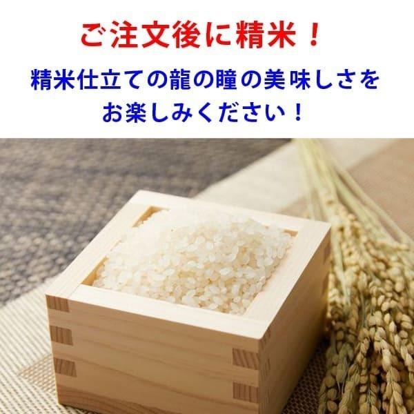 新米入荷 龍の瞳 1kg 令和5年産米 岐阜県産 白米  送料無料 一部地域除く