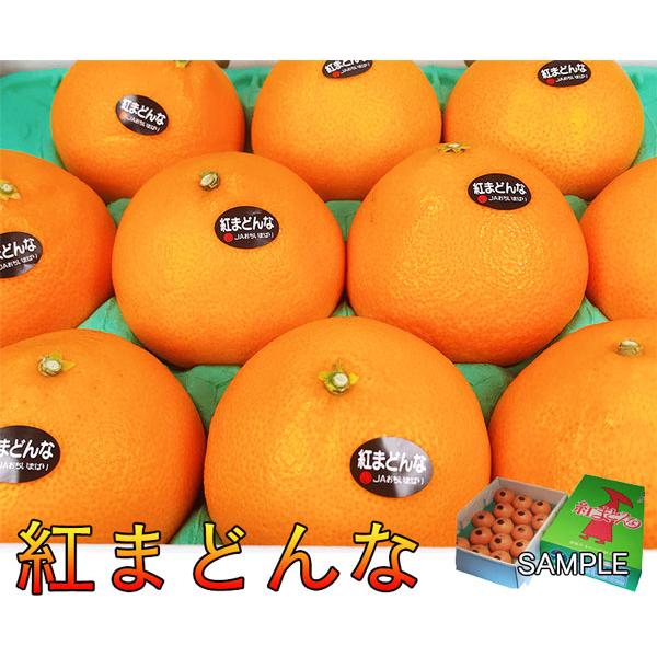 みかん 紅まどんな 3kg 12個入 秀品 贈答用 愛媛県産 JA 正規品 あいか 愛果28号 蜜柑 ミカン 高糖度 紅マドンナ お歳暮 お正月 クリスマスGIFT ギフト広場