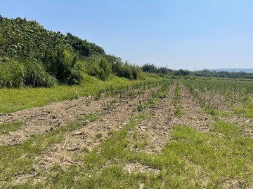 近台南歸仁高鐵站優質一般農業區 農牧用地｜台南市歸仁區大苓段