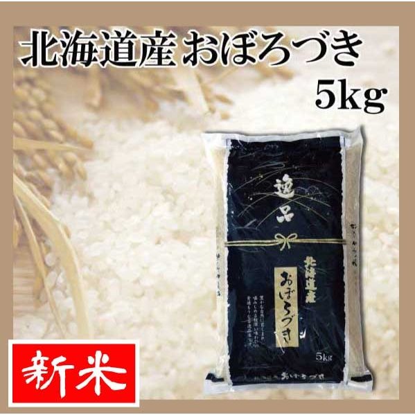 お米　おぼろづき　5kg　送料無料 令和5年産　北海道から直送します！