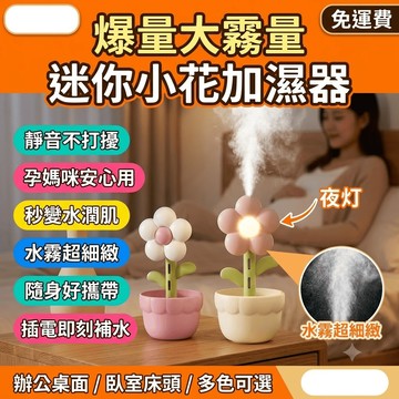 桌面加濕器 空氣加濕器 迷你小花加濕器 usb 靜音 臥室 孕婦大霧量 隨身