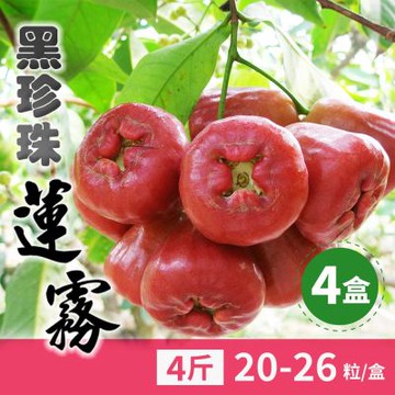【家購網嚴選】屏東林邊黑珍珠蓮霧-精品4斤x4盒(約20-26顆/盒)