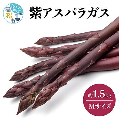 ふるさと納税 高松市 貴重で甘みが強い!　紫アスパラガス(Mサイズ)　約1.5kg