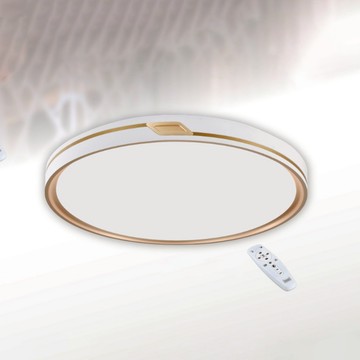 74W 遙控吸頂燈 B102-13-64285