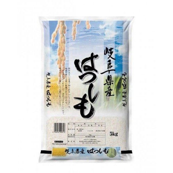 米 お米 白米 5kg ハツシモ 岐阜県産 令和5年産 送料無料