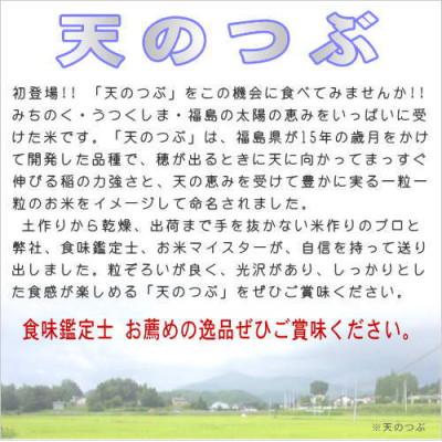 ふるさと納税 田村市  田村市産天のつぶ10kg(5kg×2袋)