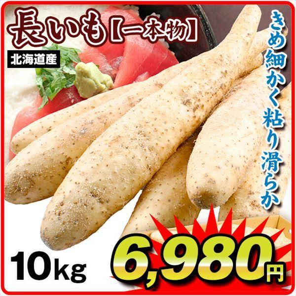 長いも 一本物 10kg 北海道産 送料無料 食品