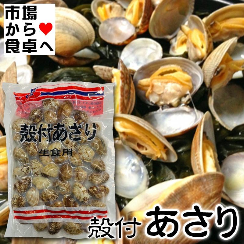 あさり （冷凍）殻付 500g（冷凍便）