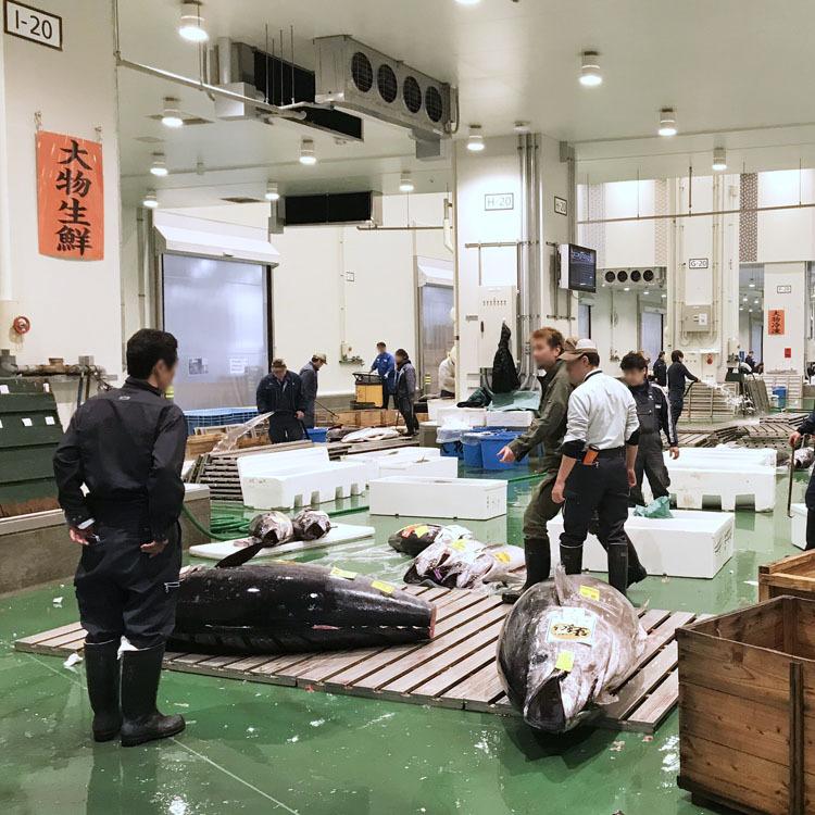 マグロ卸「樋長」こだわり本マグロ詰め合わせ