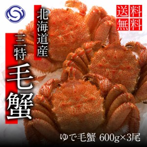 ギフト 北海道産 三特 毛がに(600g前後×3尾)　浜ゆで