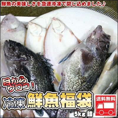 鮮魚を急速冷凍北海道お魚福袋5kg送料無料 御歳暮 クリスマス 正月