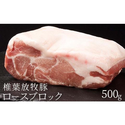 椎葉放牧豚 ロース ブロック 500g