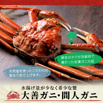 ふるさと納税 京丹後市 蟹の匠　魚政の京丹後市産　未冷凍　茹で間人ガニ大善ガニ　特選　900g級 1匹(2024年発送)