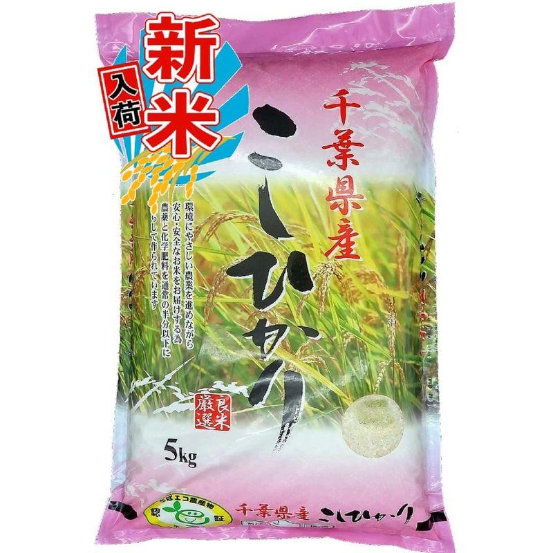 新米 精米 千葉県産 白米 エコ米 コシヒカリ ５? 令和4年産 減農薬