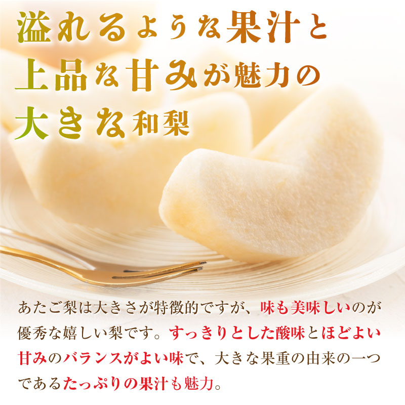 [予約 2023年 12月1日-12月31日の納品] あたご梨 約1.2kg 約600g×2玉 鳥取 福島産他 ありの実箱