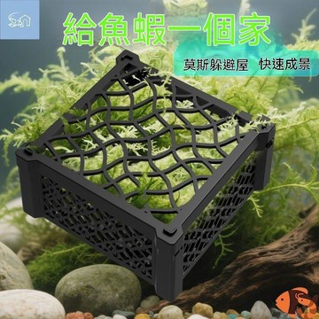 🔥人氣夯點+銷量冠軍👑觀賞躲避方盒莫斯水草房水晶蝦繁殖躲避屋蝦米庇護所魚缸擺件造景 FT634
