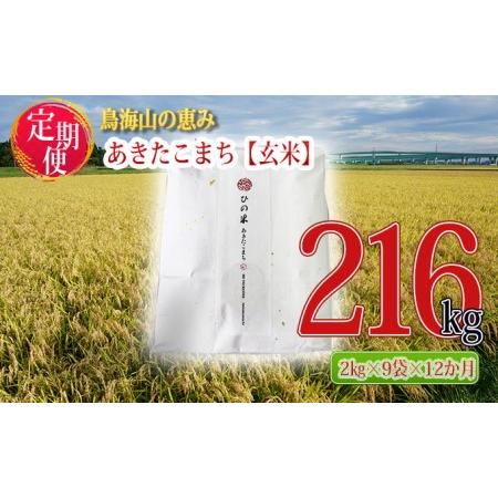 ふるさと納税 《定期便》18kg×12ヶ月 秋田県産 あきたこまち 玄米 2kg×9袋 神宿る里の米「ひの米」（お米 小分け） 秋田県にかほ市