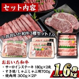 ふるさと納税 おおいた 和牛 3種 セット (合計1.66kg・サーロインステーキ180g×2枚・ウデ肉700g・焼肉300g×2P) 国産 豊後牛 BBQ 赤身 .. 大分県佐伯市