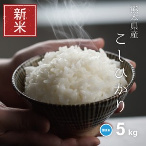 新米 米 お米 5kg コシヒカリ 無洗米 熊本県産 令和5年産 精米5kg こしひかり