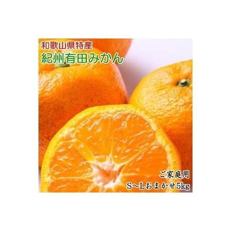 ふるさと納税 和歌山有田みかんご家庭用5kg (S〜Lサイズおまかせ ※2023年11月中旬〜2024年1月中旬頃に順次発送予定※北海道・沖縄・離島へ.. 和歌山県広川町