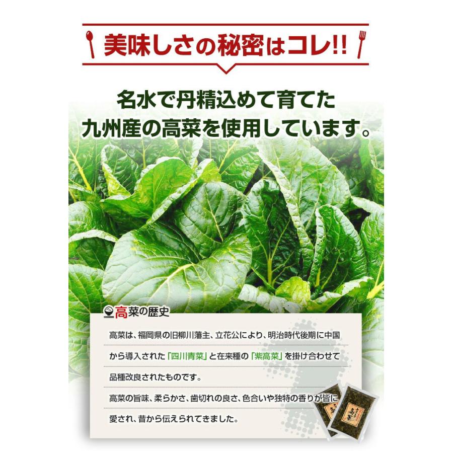 明太辛子高菜 100g×2袋 漬物 明太子×九州高菜 福岡 土産 ご飯のお供 送料無料 お試し ポイント消化 高菜漬 旨さに訳あり [メール便]