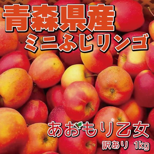 りんご  青森県産 ミニふじ 家庭用 訳あり1kg あおもり乙女 送料無料 林檎