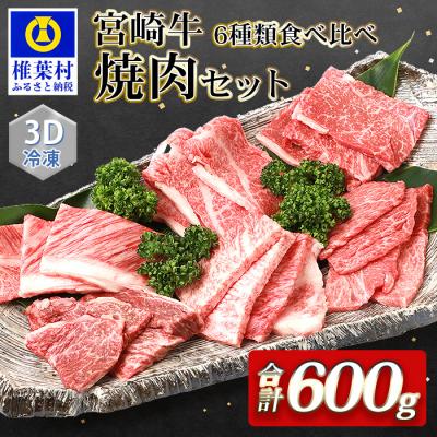 ふるさと納税 椎葉村 宮崎牛 6部位 食べ比べ 焼肉セット