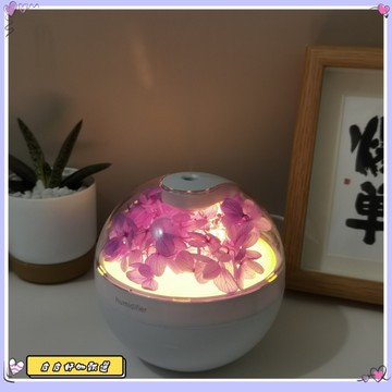 🔥限時下殺🔥永生花香薰加濕器