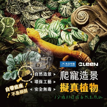 【小搗蛋鬼の王國】爬寵造景擬真植物 CLEEN其鱗 角落特寵 角落水族 造景擺設 爬寵造景 擬真 爬蟲 爬寵 蜥蜴 守宮