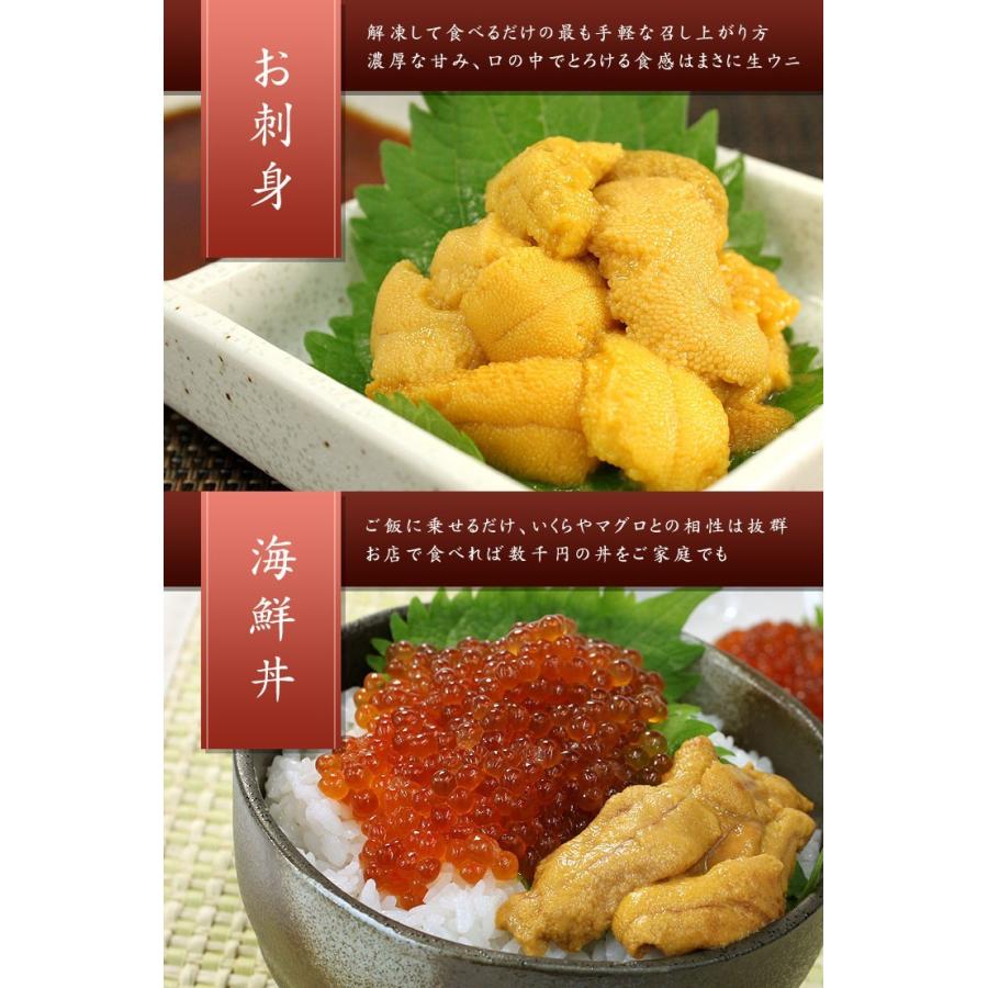 生ウニ200g（100g×2パック）無添加 送料無料 刺身 海鮮丼 食べ物《ref-un2》yd5[[生ウニ100-2p]