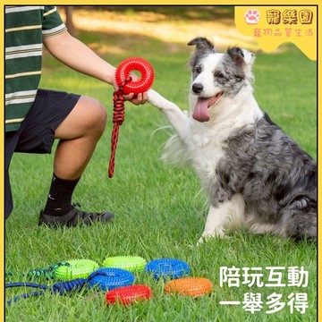 ✨【臺灣熱賣】狗狗玩具 寵物玩具 狗狗刺球玩具 小狗發聲玩具 狗狗自嗨解悶玩具 寵物訓練玩具 狗狗互動益智玩具 泰迪玩具
