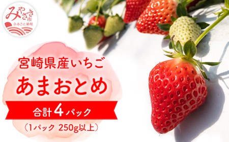 数量限定 期間限定 いちご 「あまおとめ」 4パック (1パック250g以上)