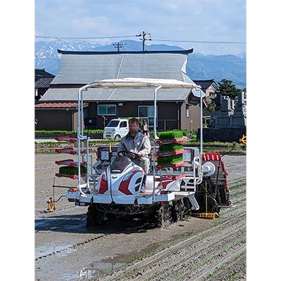 ふるさと納税 朝日町 令和5年度産　富山県朝日町産コシヒカリ 20kg(精米10kg×2)