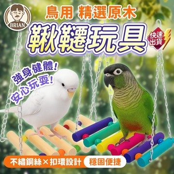 鳥用鞦韆玩具【布萊恩👨🏻隔日到貨】鸚鵡鞦韆 鳥鞦韆 小寵鞦韆 倉鼠鞦韆 鳥玩具 小寵玩具 鳥類用品 小寵用品