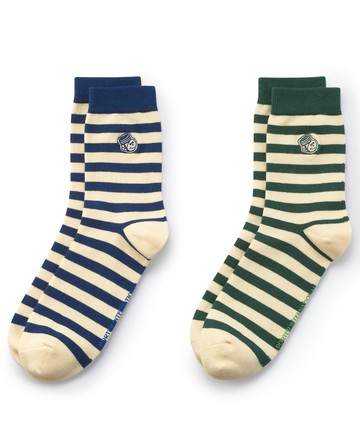 【PORTER INTERNATIONAL】SOCKS PORTER MAN 條紋襪子兩入組 14031-53002 (綠色+藍色 兩入一組)