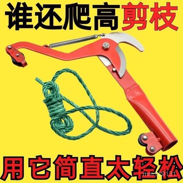 臺灣出貨🔥 高空摘果神器🔥 自由伸縮摘果器 果樹摘 埰果器 不鏽鋼伸縮桿 園林剪刀荔枝剪果樹高枝剪修枝神刀果樹修剪高枝果