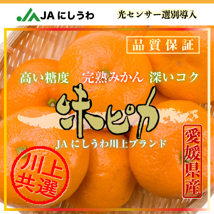 [予約 2023年12月25日-12月31日の納品] 味ピカ みかん 約3kg 愛媛県 JAにしうわ 西宇和みかん 川上共選 天皇杯受賞 果物専用箱