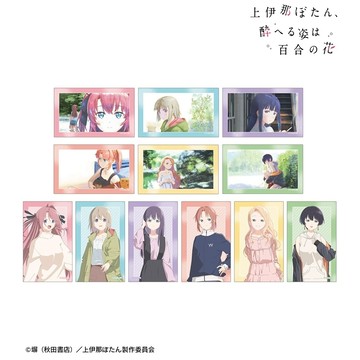 【RE】(免訂金) 預購26年10月 Movic 透明卡片 上伊那牡丹，醉姿如百合 中盒12入