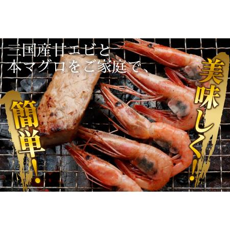 ふるさと納税 BBQ！おうち贅沢！特製漬けセット甘エビ三昧＆本マグロ三昧 福井県坂井市