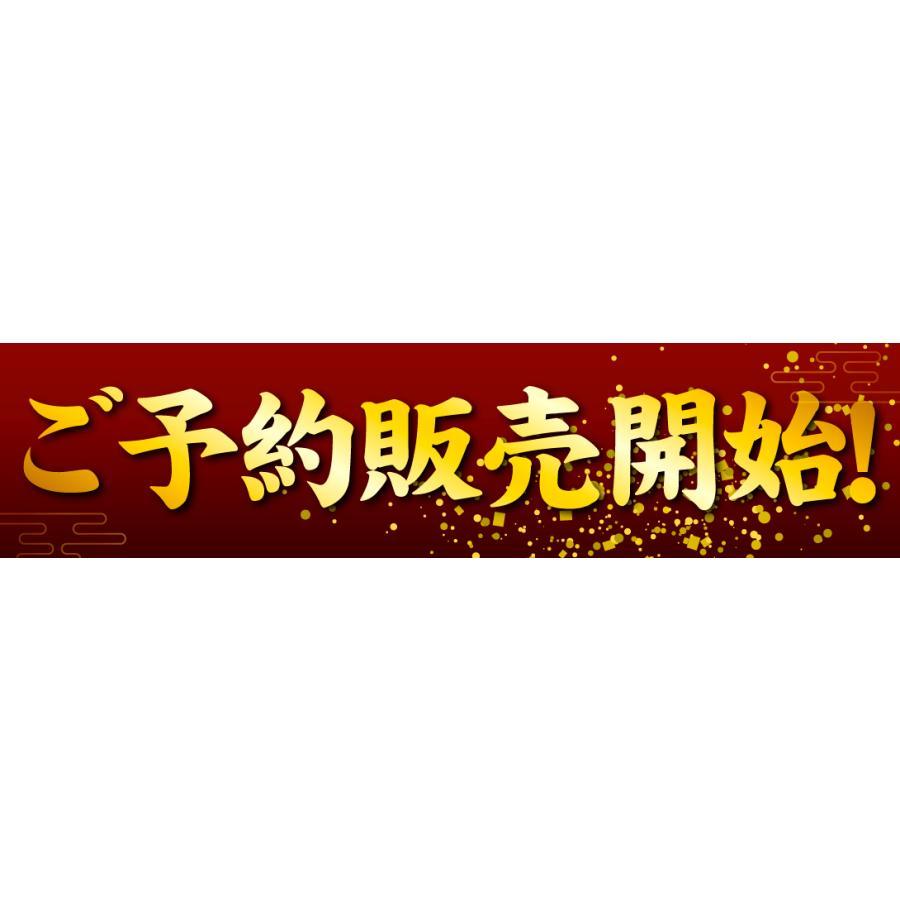 塩数の子 500g 本ちゃんかずのこ 折れ子 訳あり 数の子 送料無料 お正月用 ポスト投函