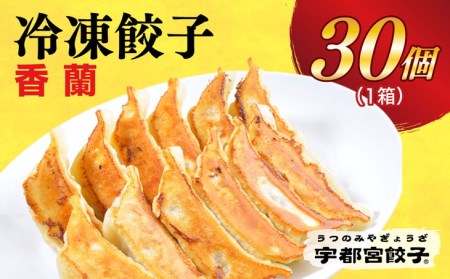 　餃子30個入り