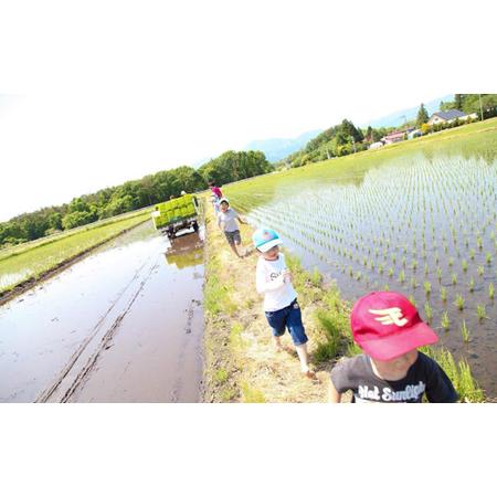 ふるさと納税 新米 農薬：栽培期間中不使用 あきたこまち 精米 10kg  ／ 米 白米 岩手県雫石町