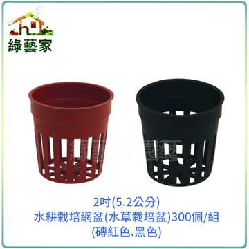 【綠藝家】2吋(5.2公分)水耕栽培網盆(水草栽培盆.定植籃.水草盆.水耕盆)300個/組